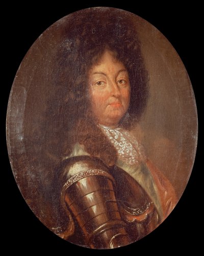 Ritratto di Luigi XIV (1638-1715) da French School